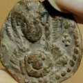 Древняя печать с ликом Богородицы найдена близ болгарского Бургаса