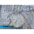 В Звенигороде обнаружены фрески начала XV века