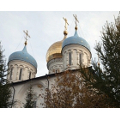 В Новоспасском ставропигиальном монастыре состоялся молебен о здравии больных гемофилией