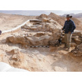 Археологи нашли в Израиле крепость времен царя Соломона