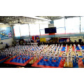 В Подмосковье состоялось открытие фестиваля боевых искусств «Кубок святителя Николая Японского»
