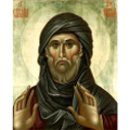 Прошла IV Международная патристическая конференция «Преподобный Ефрем Сирин и его духовное наследие»